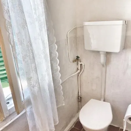 Oasi 기파