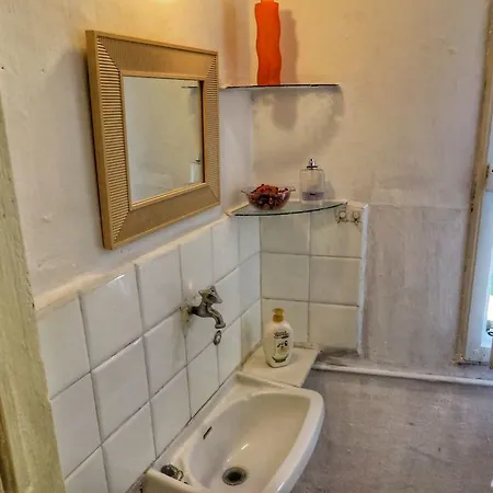 Oasi *